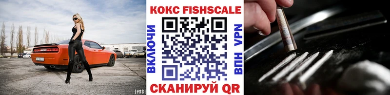 Купить закладки  Луга  COCAIN Эквадор 