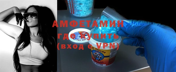 сатива Верея
