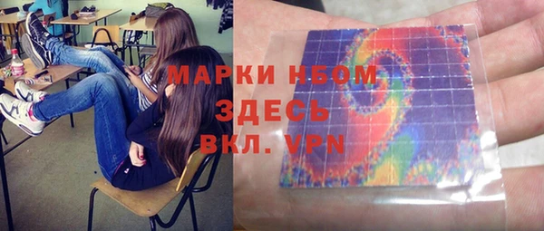PSILOCYBIN Гусев