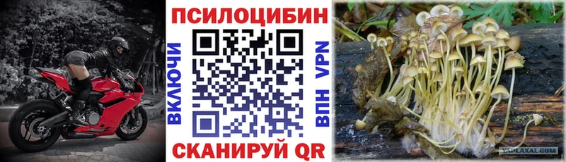 Купить закладки  Луга  Галлюциногенные грибы Magic Shrooms 