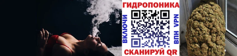 Канабис OG Kush  Купить закладки  Луга 